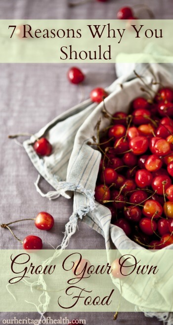 7 reasons why you should grow your own food | ourheritageofhealth.com