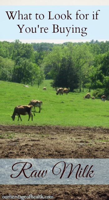 What to look for if you're buying raw milk | ourheritageofhealth.com
