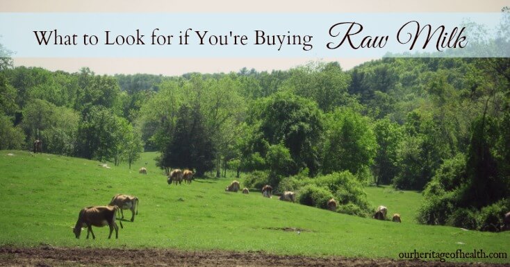 what to look for raw milk rs