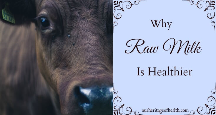 Why raw milk is healthier for you | ourheritageofhealth.com