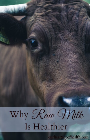 Why raw milk is healthier for you | ourheritageofhealth.com