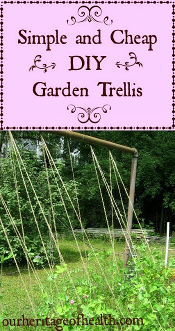 Simple and cheap DIY garden trellis | ourheritageofhealth.com