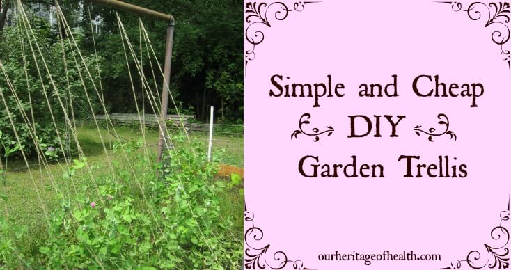 Simple and cheap DIY garden trellis | ourheritageofhealth.com