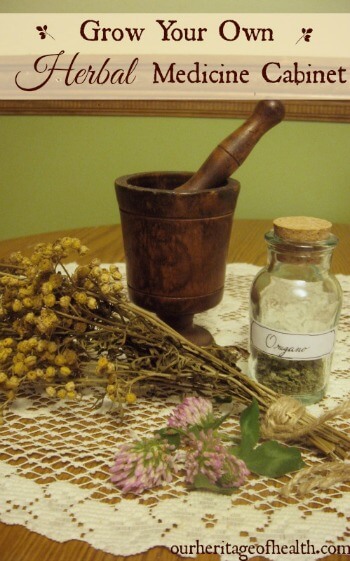 Grow your own herbal medicine cabinet | ourheritageofhealth.com