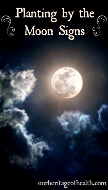 Planting your garden by the moon signs | ourheritageofhealth.com 