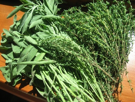 Why and how to dry your own herbs