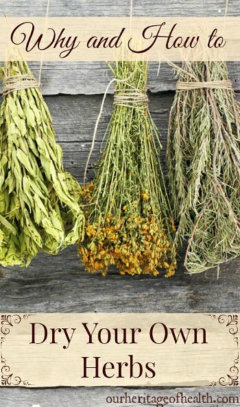 Why you should dry your own herbs and tips for how to do it properly | ourheritageofhealth.com