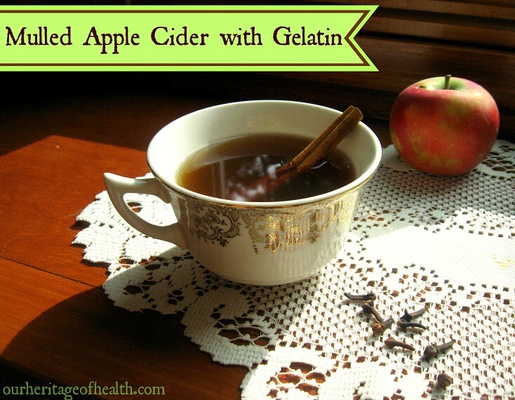 Mulled apple cider with gelatin