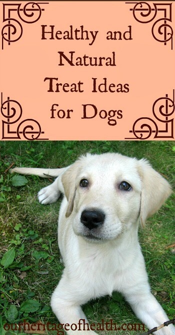 Healthy and natural treat ideas for dogs | ourheritageofhealth.com