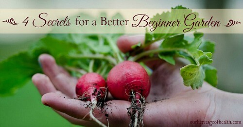 4 Secrets for a better beginner garden