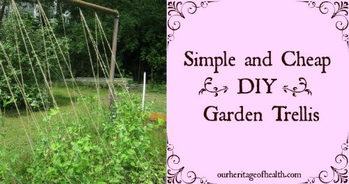 DIY garden trellis 