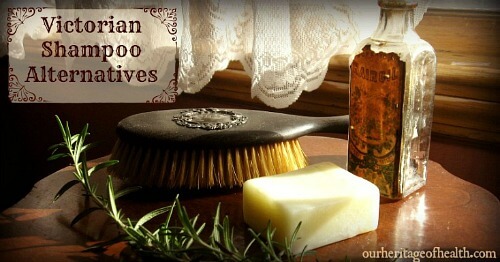Victorian shampoo alternatives
