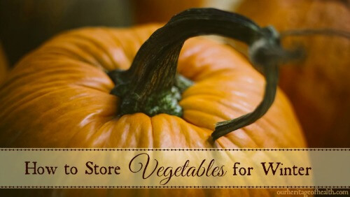 how to store vegetables for winter