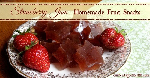 Strawberry jam homemade fruit snacks