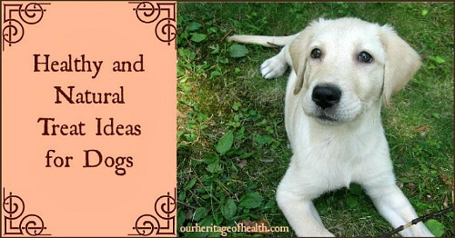 Healthy and natural treat ideas for dogs