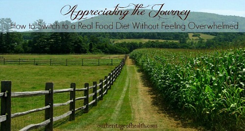 How to switch to a real food diet without feeling overwhelmed