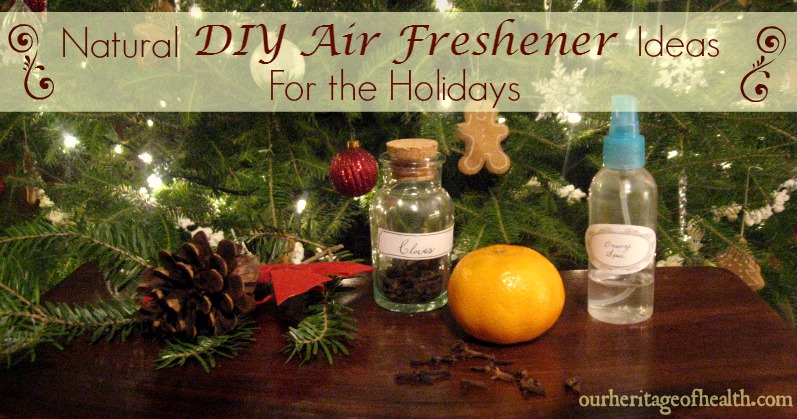 Natural DIY air freshener ideas for the holidays | Our Heritage of Health