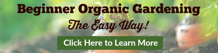 Click to learn more about the ebook Beginner Organic Gardening - The Easy Way.