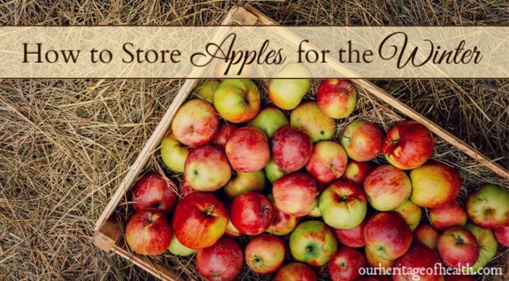 How to store apples properly so they last for the winter months.
