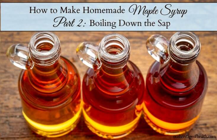 How to make your own homemade maple syrup - Part 2: boiling down the sap into syrup
