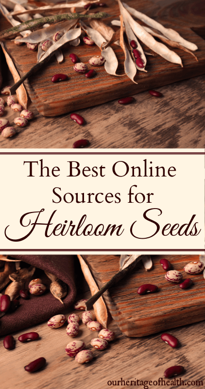 The best online sources for heirloom seeds that are non-GMO and open-pollinated