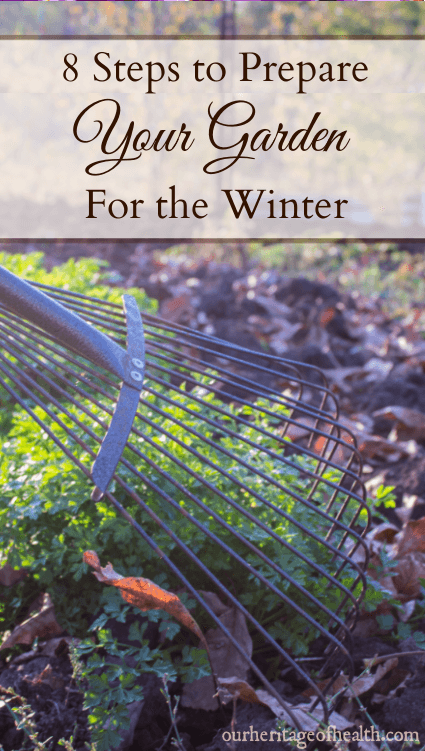 Rake with autumn leaves in garden