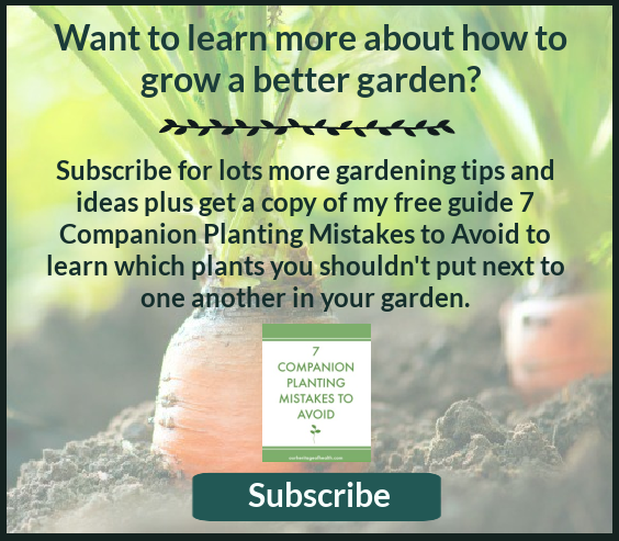 Description of newsletter to sign up for more tips for growing a better garden and a bonus free guide for 7 companion planting mistakes to avoid.